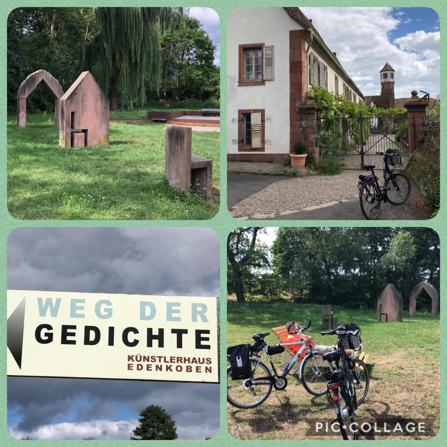 Appartamento Oase Der Geborgenheit Venningen Esterno foto