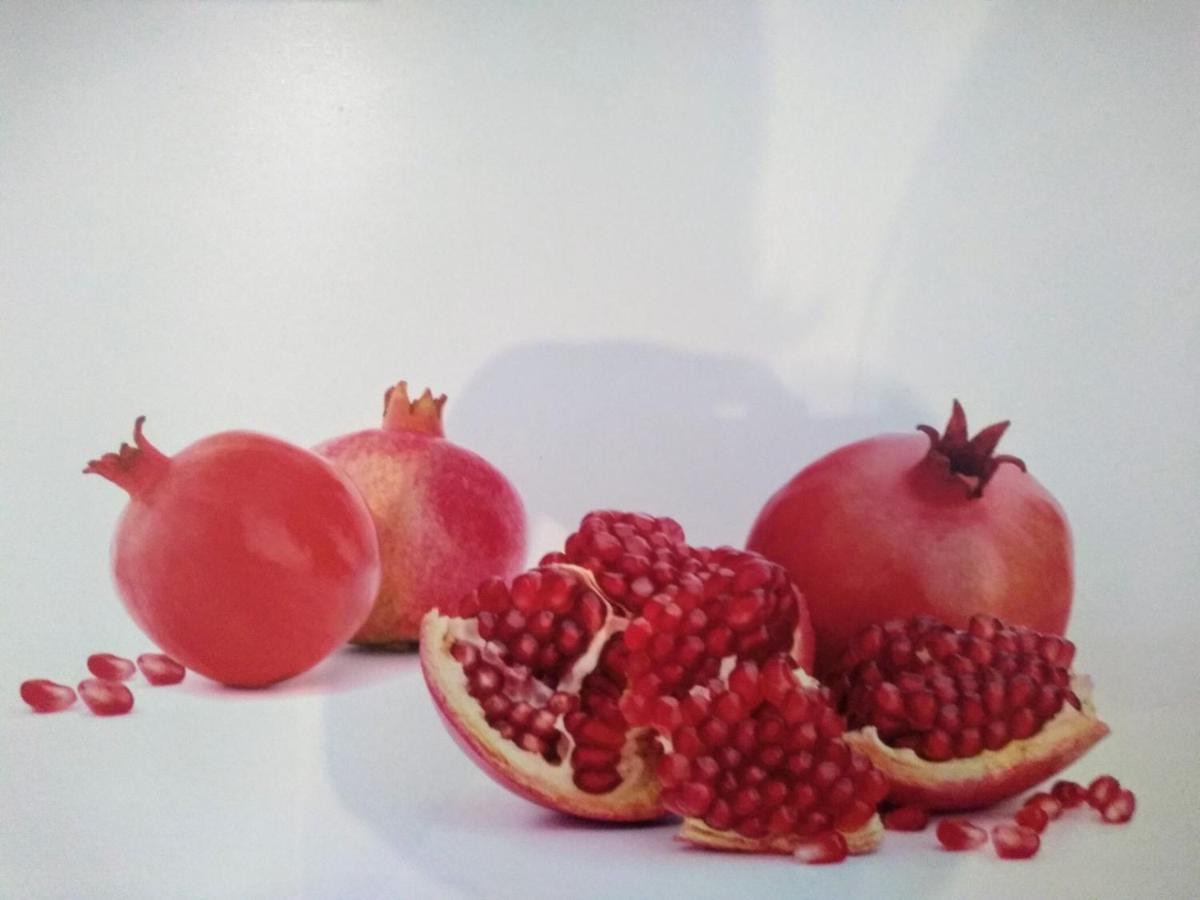 Appartamento Oase Der Geborgenheit Venningen Esterno foto